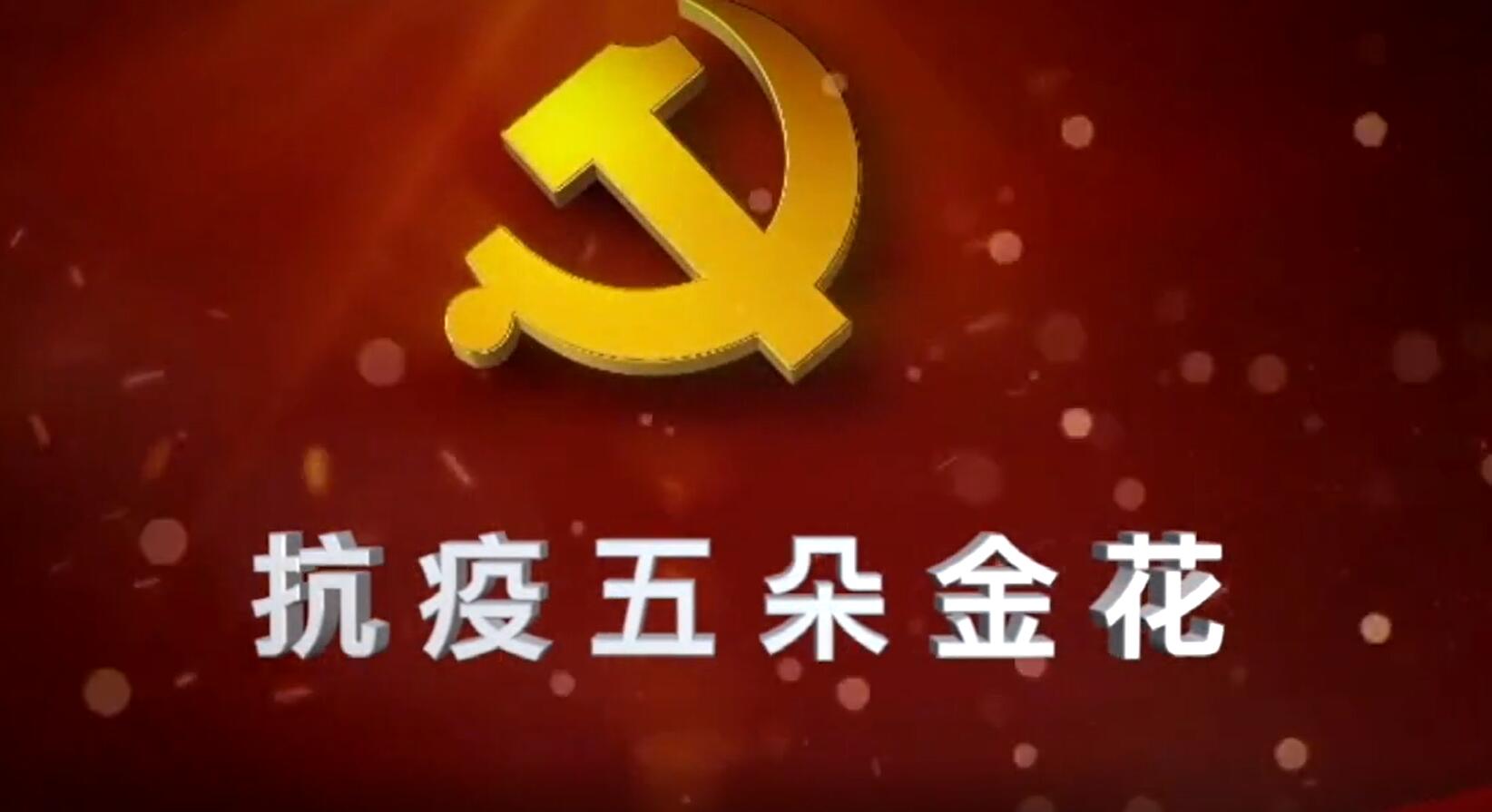 抗疫五朵金花——杭州公司