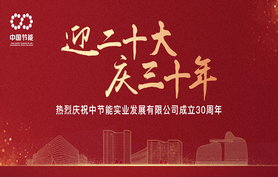 公司举办三十周年庆祝活动